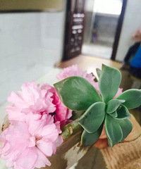 ����Ʊ����û����������䡭��