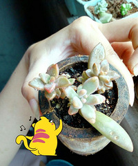 �뵱����Ҳ�й�����