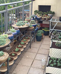 ����ҵ���