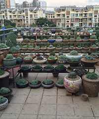 ����ҵ���