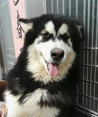 ���ƹ�չ��Ʊ������ͬΪ���ķ���