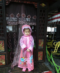 ��Ҫ����������������