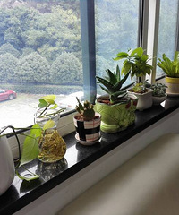 ��Ʊ��������ơ�