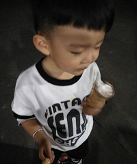 ��Ҫ����������������