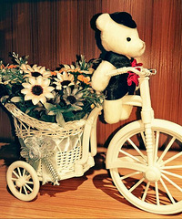 [/��][/��][/��]