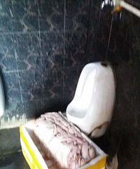 "在近江水产农贸市场厕所瞥见惊人一幕!巨恶心啊!"