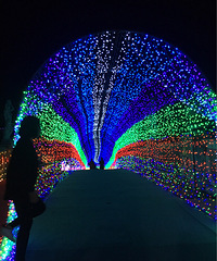 ̫���ǵƹ�չ�����Ƿ�������