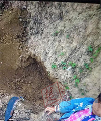 ɥ�Ĳ���һ����ֱ����ɱŮ��ʬ��ԭ����...