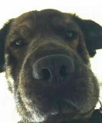 ���������˹��