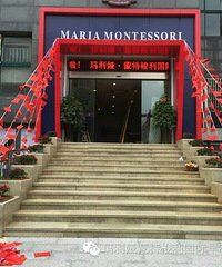 ��Ҫ����������������������