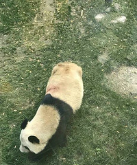 �ݹ���ᾱ������ˣ����ǵĹ������⶯��԰������