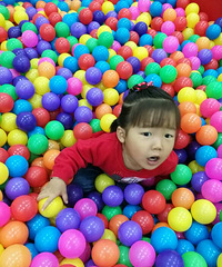 ��Ҫ����������������������