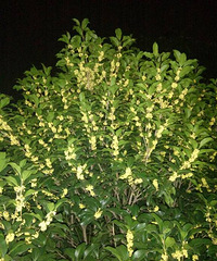 ����·�ߵĹ����㣡