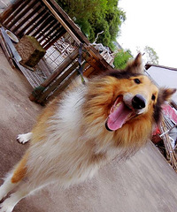 �ҵ��ϻ�ơ���