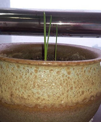 ��Ʊ����㻨��