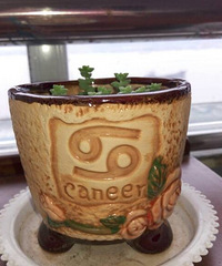 ��Ʊ����㻨��