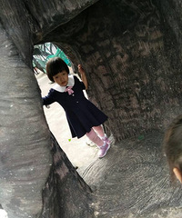 ��Ҫ�μ�����������+4����2