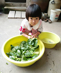 ��Ҫ�μ�����������+4����2