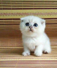 ������ֵ��ֵŶ~