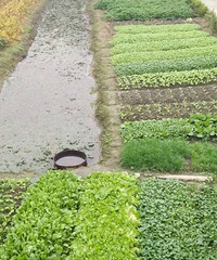 �ҼҵĿ���ũ��!