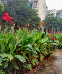 ���е����˽�