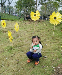 ��Ҫ�μ�����������+6