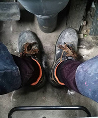 �Ͷ������Ь