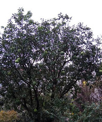 �ȴ���ʵ����