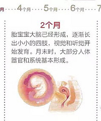 "孕期身体的那些微妙变化~"