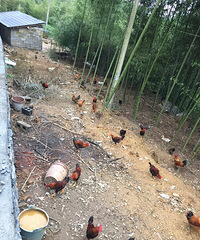 “今日卜筑”一家精品民宿悄悄诞生啦