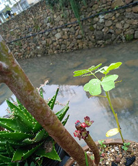 ���⡪���ڷ�ʦ