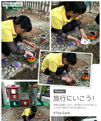 感受大自然的乐趣,奇妙的种子在发芽!