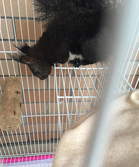 6������ιʳ������2Сʱ������