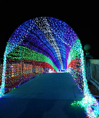 ���ƹ�ڡ�����3d����