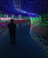 �ƹ��㿴������ͼ