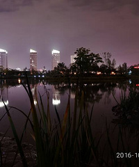 �������Ǵ�Ѵ�ѵĹ���