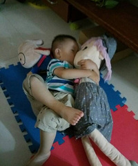 �����������㹽