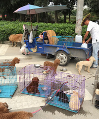 ����Ĺ��У�ȫ����ĦҮ��