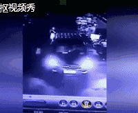 20�룡���������ֻ� �������Ůͯ��������