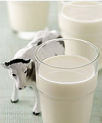 "牛初乳的副作用 给宝宝吃需谨慎"