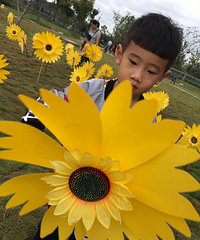 ��Ҫ�μ�����������+����5��