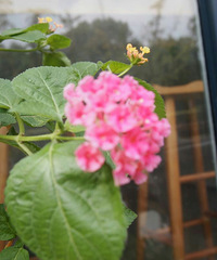 һ�����ķ��֣����Ŀ�ʼ����̬�ſ���������