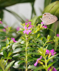 һ�����ķ��֣����Ŀ�ʼ����̬�ſ���������