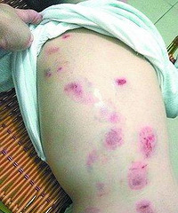 ���������׶�԰�� ���ӱ�ҧ������...