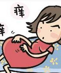 "風一吹全身就癢,突然對所有藥物過敏,因為他們常吃這個東西.."