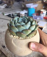 ����������