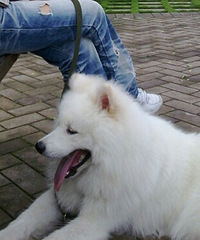 ͻȻ����������