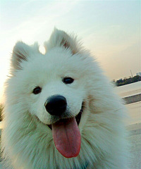 ͻȻ����������