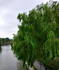 ��ô������ͦ����