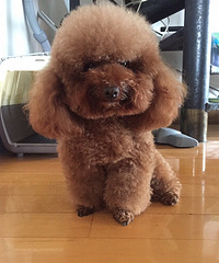 �Ҽ�����ôô�գ�